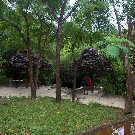 Baraka Aquarium Bungalows Nungwi Exterior photo