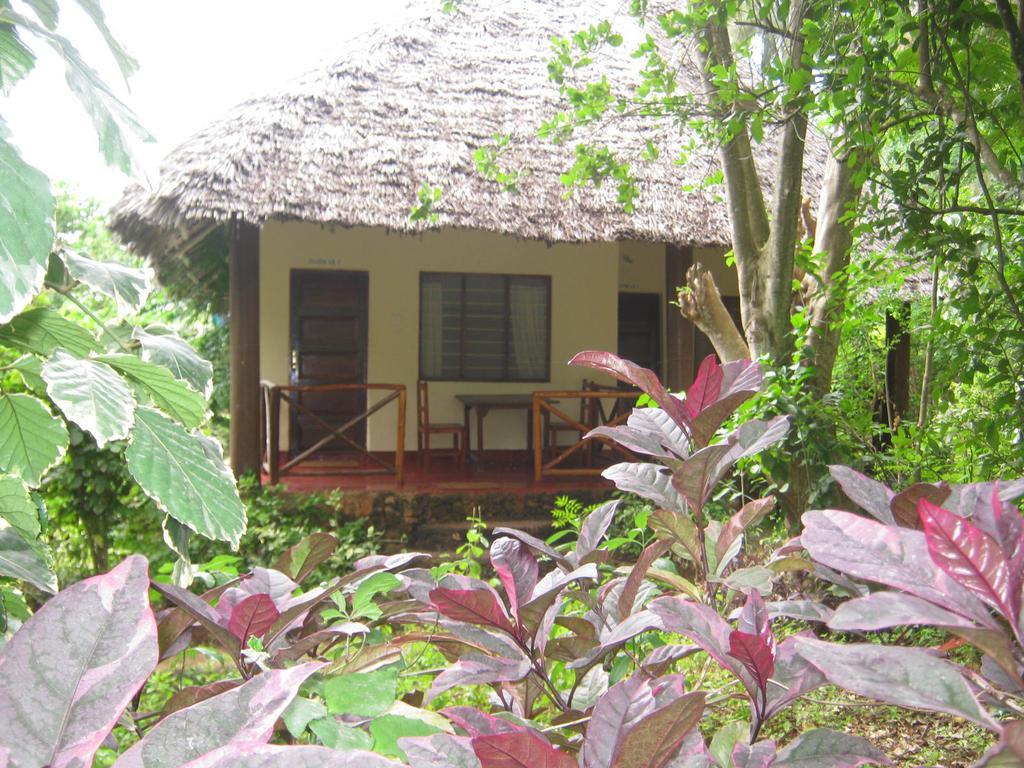 Baraka Aquarium Bungalows Nungwi Exterior photo